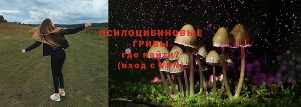 mdpv Алзамай