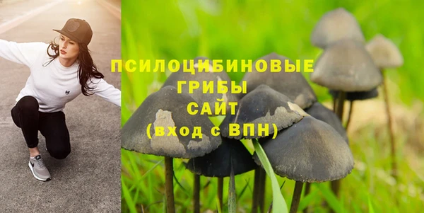 герыч Алексин