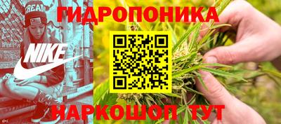 сатива Нягань