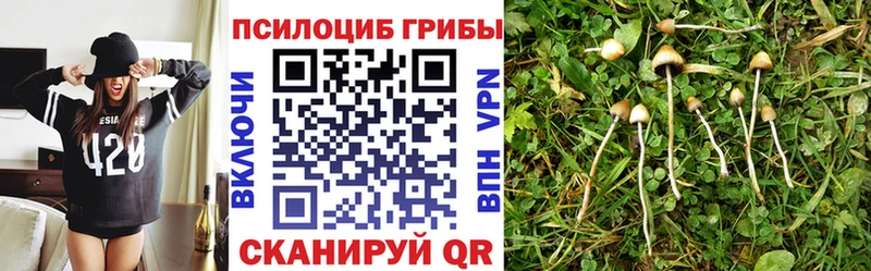 что такое наркотик  Узловая  Псилоцибиновые грибы MAGIC MUSHROOMS 