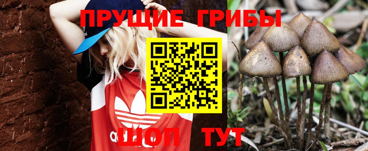 МЕТАДОН  Лсд 25  Вход с VPN  МЕФ   Узловая  ГАШИШ  МАРИХУАНА  АМФЕТАМИН   ГАШИШ  НБОМе  Cocaine 