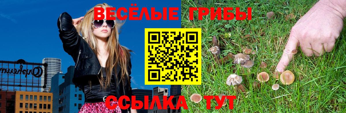 Галлюциногенные грибы Magic Shrooms Узловая